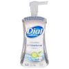 Dial Complete Foaming Antibacterial Soothing White Tea Scent Hand Wash 7.5 Fl Oz - 7.5 FZ 6 Pack -Stockup Express Deals 1700007973