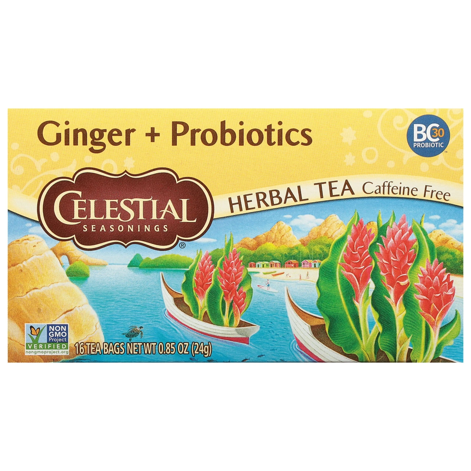 Celestial Seasonings Ginger & Probiotics - 20 CT 6 Pack 3 Celestial Seasonings Ginger & Probiotics - 20 CT 6 Pack