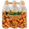 Adirondack Peach Enhanced Water 6 Ea - 101.4 FZ 4 Pack