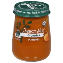 Beech-Nut Organics Stage 1 (4 Months+) Pumpkin 4 Oz - 10 Pack